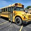 Image result for Blue Bird Vision School Bus Green