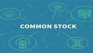 Image result for Common Stock