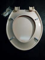 Image result for Peach Toilet Seat