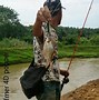 Image result for Tong Ikan Kecik