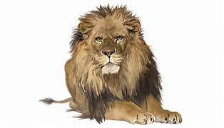 Image result for No Lion Sign