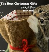 Image result for Gifts for Cat People