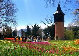 Image result for Mainau Germany Location