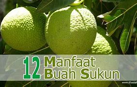 Image result for Manfaat Buah Sukun