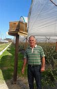 Image result for Blueberry Pollination Bees