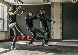 Image result for Krav Maga Kick