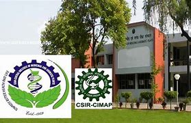 Image result for CSIR Cimap Logo