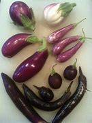 Image result for Largest Eggplant