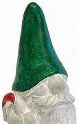 Image result for Shady Gnome