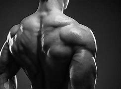 Image result for Back Muscle Wallpaper