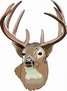 Image result for Buck Skull