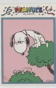 Image result for Snoopy Cross Eyed Vulture