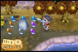 Image result for Animal Crossing New Leaf Items