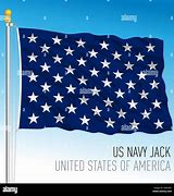 Image result for US Navy Snake Flag