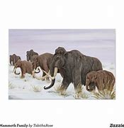 Image result for Mammoth Mummy