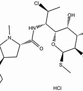 Image result for Clindamycin Tube