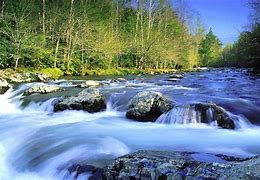 Image result for Flowing River Graphic