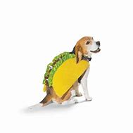 Image result for Taco Outfit