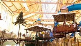 Image result for Great Wolf Lodge Cincinnati