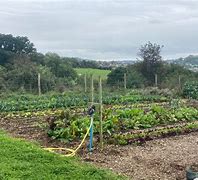 Image result for Biodynamic Herb Garden