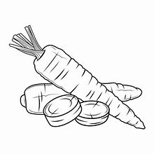 Image result for The Carrot Carp