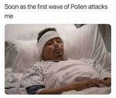 Image result for Allergy Season Meme