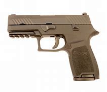 Image result for Sig Sauer P-320 XL