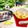 Image result for Fast Food Fries