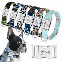 Image result for French Bulldog Collars