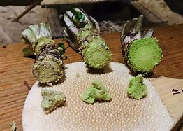 Image result for Japanese Wasabi