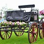 Image result for Galloping Green Carriage