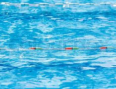 Image result for Olympic Pool Lane Dividers