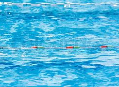 Image result for Spool with Pool Lane Dividers