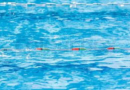 Image result for Pool Lane Dividers