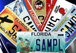 Image result for Florida License Plate