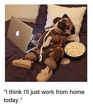 Image result for Work From Home Good Memes