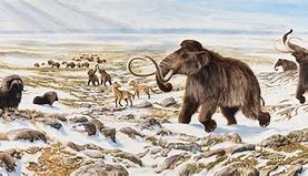 Image result for The Ice Age Period