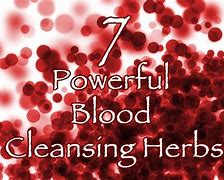 Image result for blood cleansing herbs recipes