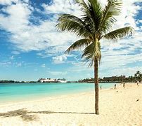 Image result for Bahamas Beach