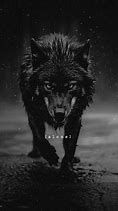 Image result for Single Wolf