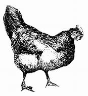 Image result for Chicken Joy Clip Art