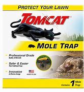 Image result for Ground Mole Traps