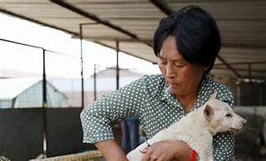 Image result for Dog Meat Market in China