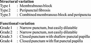 Image result for Punctal Stenosis