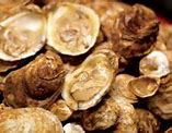 Image result for Oyster Roast Party Ideas