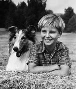 Image result for Lassie Show