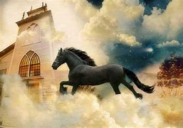 Image result for Friesian Horse Wallpaper