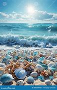 Image result for Beach Scene Shells