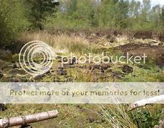 Image result for Raised Peat Bog