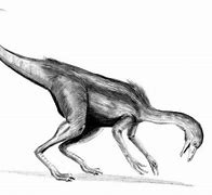 Image result for Dromiceiomimus